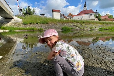 Obrázek č.44